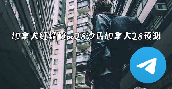 加拿大红蜻蜓pc28沙马加拿大28预测