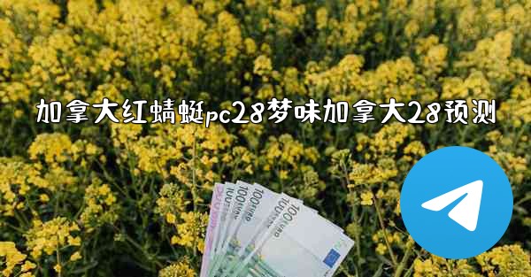 加拿大红蜻蜓pc28梦味加拿大28预测