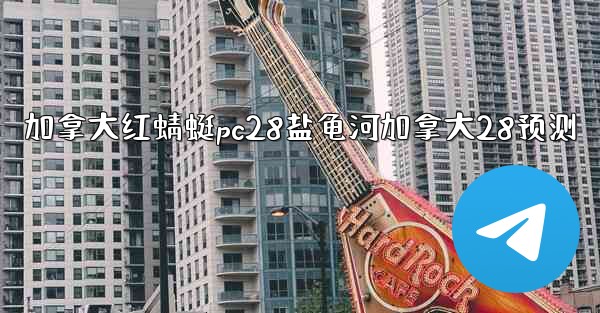 加拿大红蜻蜓pc28盐龟河加拿大28预测