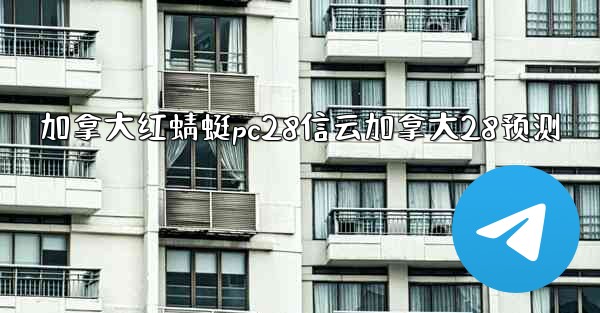 加拿大红蜻蜓pc28信云加拿大28预测