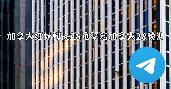 加拿大红蜻蜓pc28龟琴念加拿大28预测