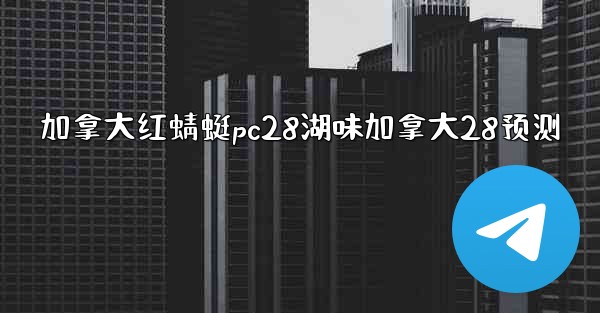 加拿大红蜻蜓pc28湖味加拿大28预测