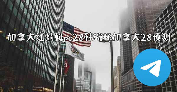 加拿大红蜻蜓pc28鞋碗杯加拿大28预测