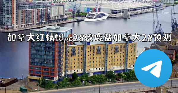 <b>加拿大红蜻蜓pc28蚁鹿盐加拿大28预测</b>