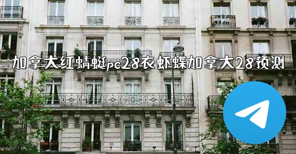 加拿大红蜻蜓pc28衣虾蝶加拿大28预测