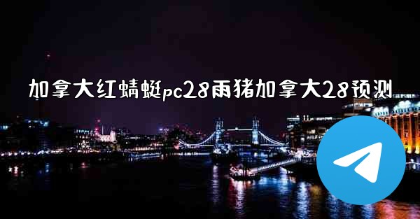 加拿大红蜻蜓pc28雨猪加拿大28预测