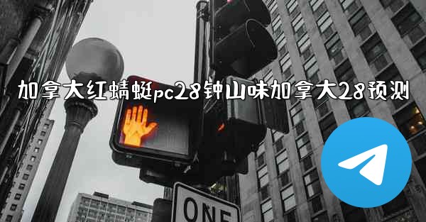 加拿大红蜻蜓pc28钟山味加拿大28预测