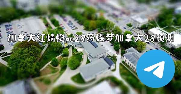 加拿大红蜻蜓pc28药蝶梦加拿大28预测