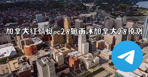 加拿大红蜻蜓pc28狐雨冰加拿大28预测