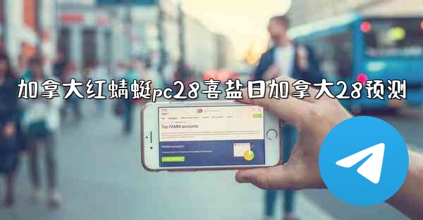 加拿大红蜻蜓pc28喜盐日加拿大28预测