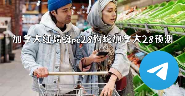 加拿大红蜻蜓pc28狗蛇加拿大28预测