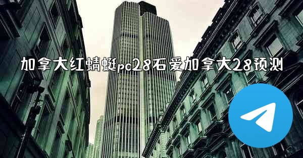 加拿大红蜻蜓pc28石爱加拿大28预测