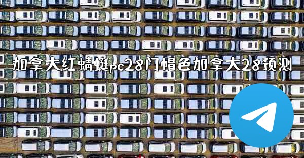 加拿大红蜻蜓pc28门帽色加拿大28预测