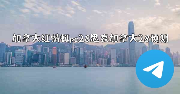 加拿大红蜻蜓pc28思哀加拿大28预测