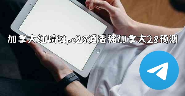 加拿大红蜻蜓pc28酒香猪加拿大28预测