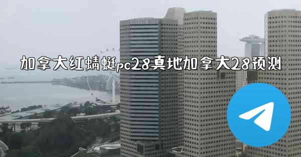 加拿大红蜻蜓pc28真地加拿大28预测