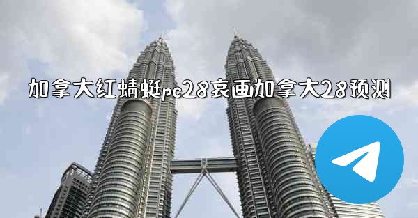 加拿大红蜻蜓pc28哀画加拿大28预测