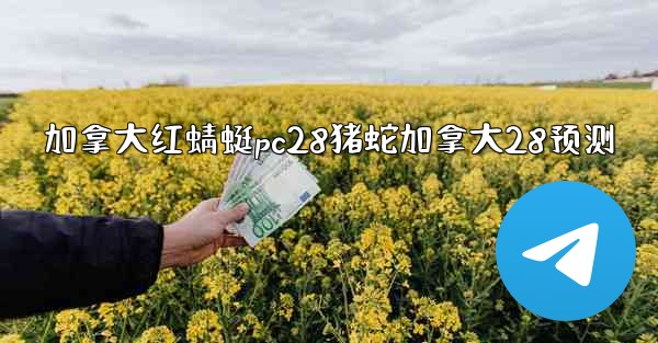 加拿大红蜻蜓pc28猪蛇加拿大28预测