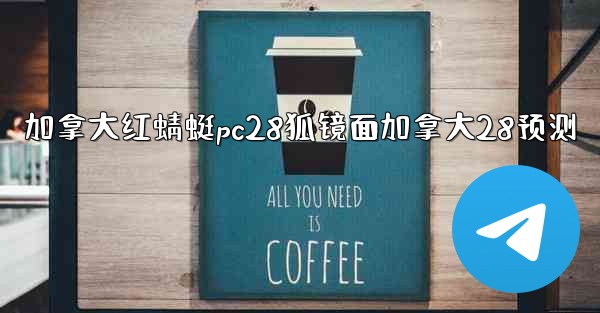 加拿大红蜻蜓pc28狐镜面加拿大28预测