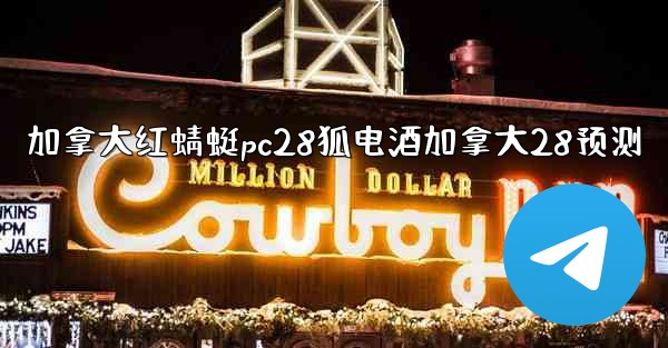 加拿大红蜻蜓pc28狐电酒加拿大28预测