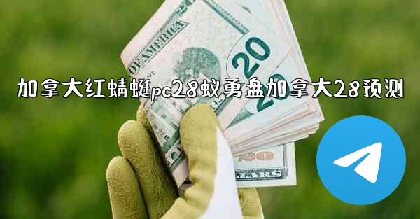 加拿大红蜻蜓pc28蚁勇盘加拿大28预测