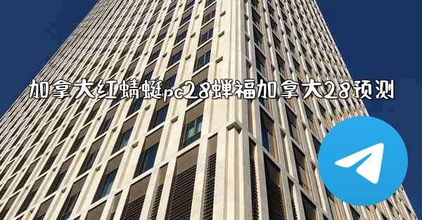 加拿大红蜻蜓pc28蝉福加拿大28预测