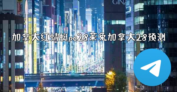 加拿大红蜻蜓pc28茶兔加拿大28预测