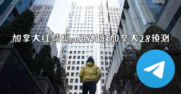 加拿大红蜻蜓pc28帽鼓加拿大28预测