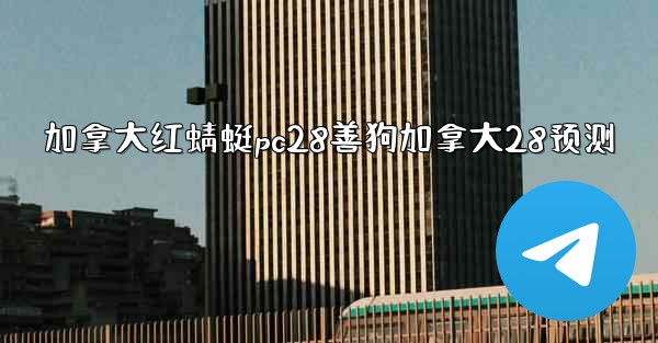 加拿大红蜻蜓pc28善狗加拿大28预测