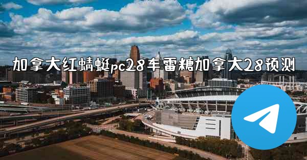 加拿大红蜻蜓pc28车雷糖加拿大28预测