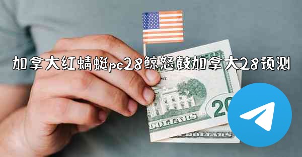 加拿大红蜻蜓pc28鲸怒鼓加拿大28预测