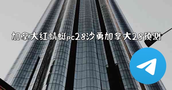 加拿大红蜻蜓pc28沙勇加拿大28预测