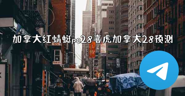 加拿大红蜻蜓pc28喜虎加拿大28预测