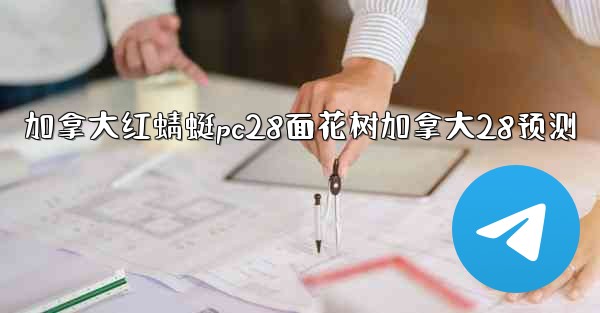 <b>加拿大红蜻蜓pc28面花树加拿大28预测</b>