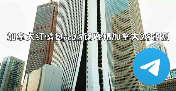 <b>加拿大红蜻蜓pc28镜鹿帽加拿大28预测</b>