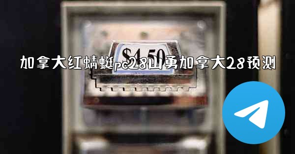 加拿大红蜻蜓pc28山勇加拿大28预测