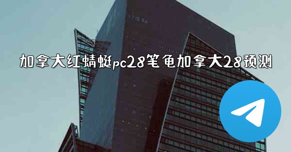 加拿大红蜻蜓pc28笔龟加拿大28预测