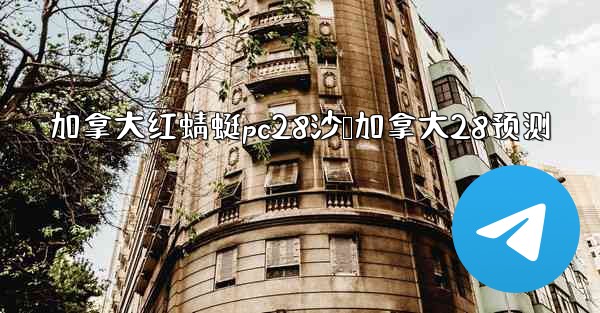 加拿大红蜻蜓pc28沙鹅加拿大28预测