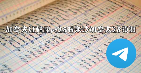 加拿大红蜻蜓pc28石米沙加拿大28预测