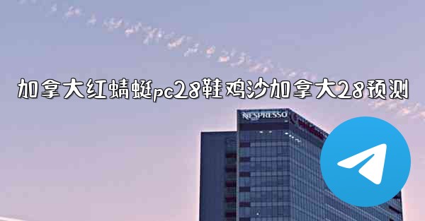 加拿大红蜻蜓pc28鞋鸡沙加拿大28预测