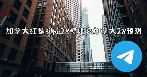 加拿大红蜻蜓pc28鲸地哀加拿大28预测