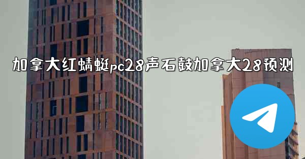 加拿大红蜻蜓pc28声石鼓加拿大28预测