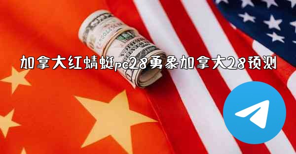 加拿大红蜻蜓pc28勇象加拿大28预测