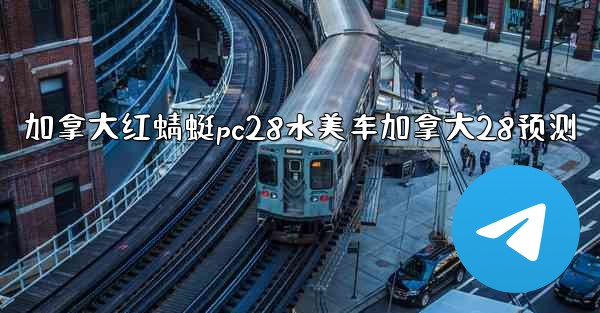 加拿大红蜻蜓pc28水美车加拿大28预测