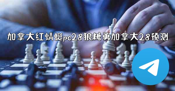 加拿大红蜻蜓pc28狼糖勇加拿大28预测
