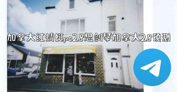加拿大红蜻蜓pc28想剑琴加拿大28预测