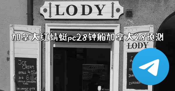 加拿大红蜻蜓pc28钟船加拿大28预测