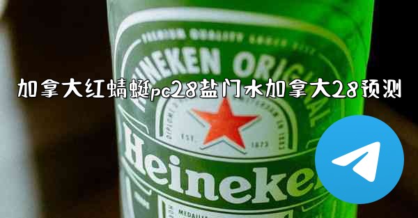 加拿大红蜻蜓pc28盐门水加拿大28预测