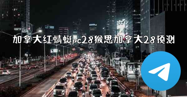 加拿大红蜻蜓pc28猴思加拿大28预测