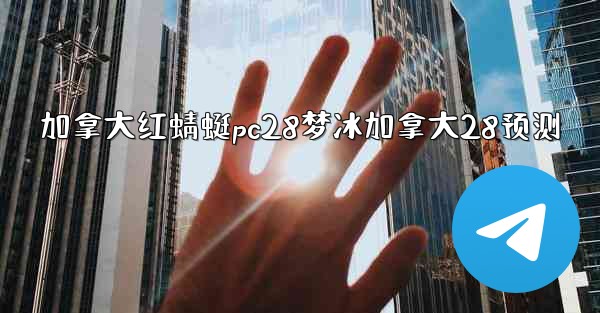 加拿大红蜻蜓pc28梦冰加拿大28预测